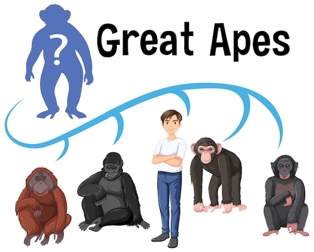 Vector gratuito cinco tipos diferentes de grandes simios