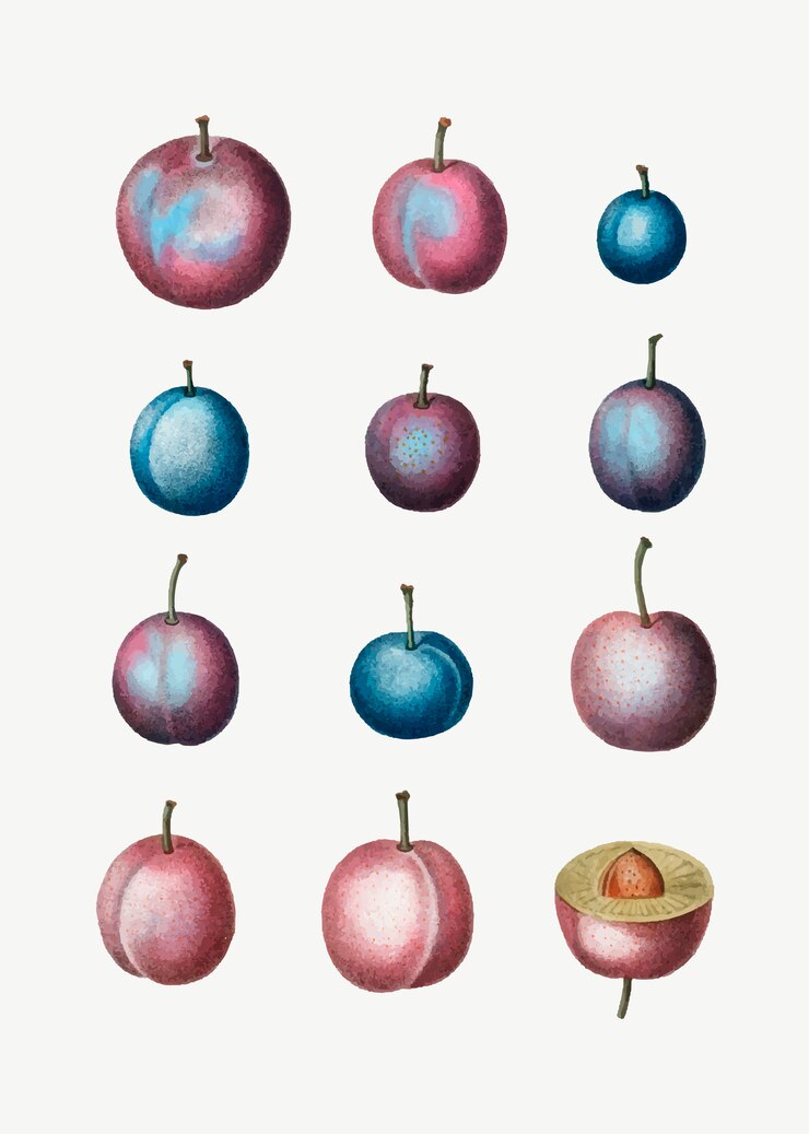 Vector gratuito ciruelas comunes