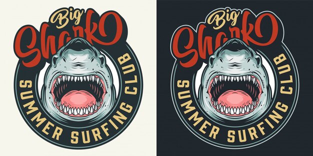 Club de surf vintage estampado redondo colorido