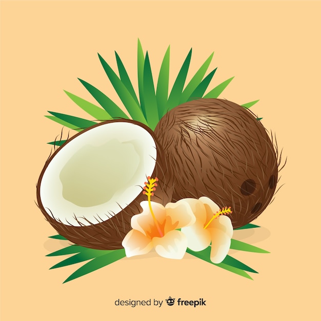 Coco dibujado a mano
