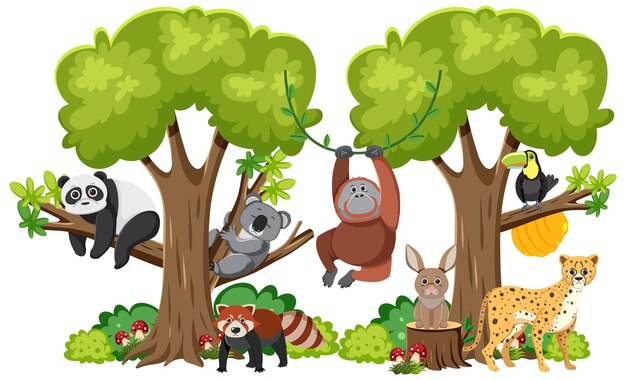 La coexistencia armoniosa de los animales salvajes en un bosque aislado
