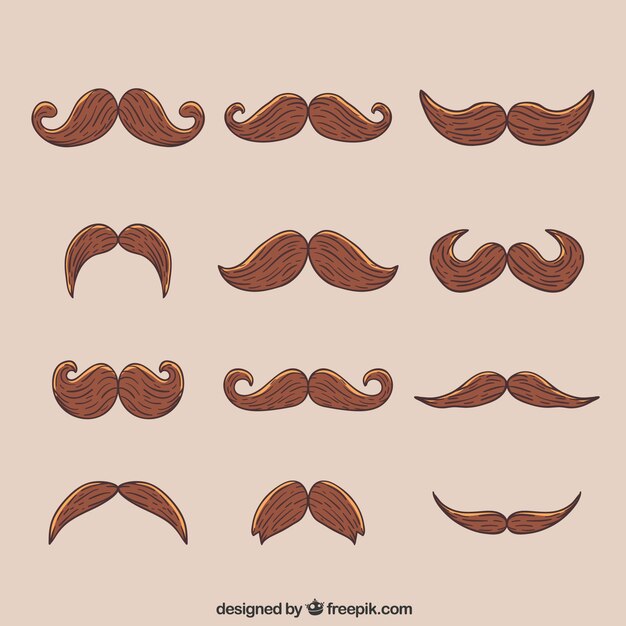 Colección de 12 bigotes para movember