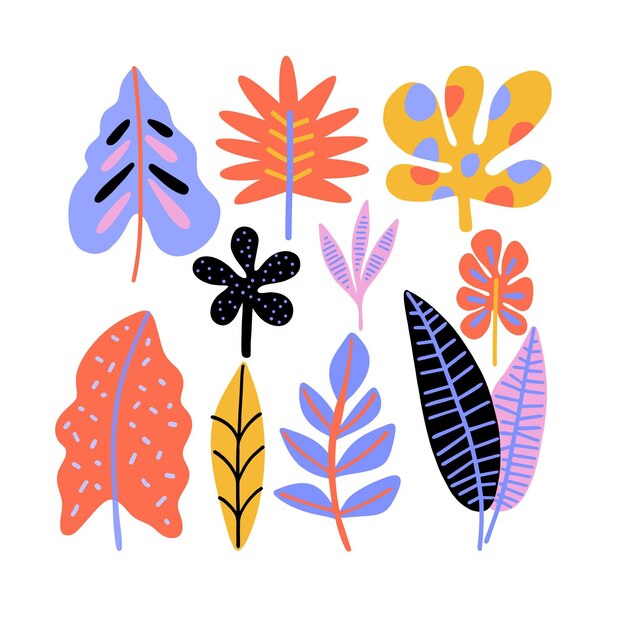 Colección abstracta de hojas tropicales
