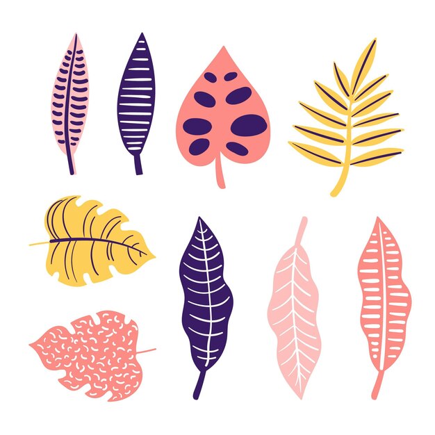 Colección abstracta de hojas tropicales