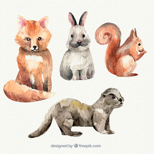 Colección en acuarela de animales pequeños