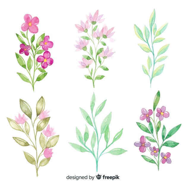 Colección de acuarela floral branch