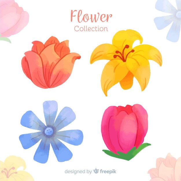 Colección acuarela de flores y hojas