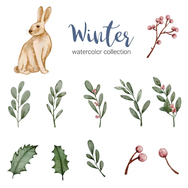 Colección de acuarela de invierno con hojas, bayas y conejo, acuarela de invierno