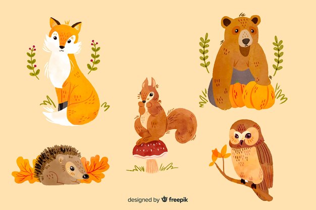 Colección de acuarela otoño animales.
