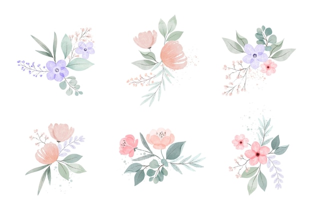 Colección de acuarelas flores y hojas