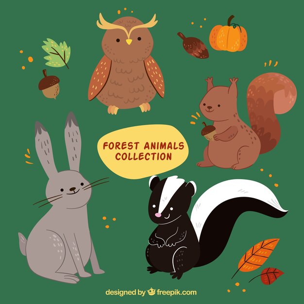 Colección de adorable animales del bosque con elementos de otoño