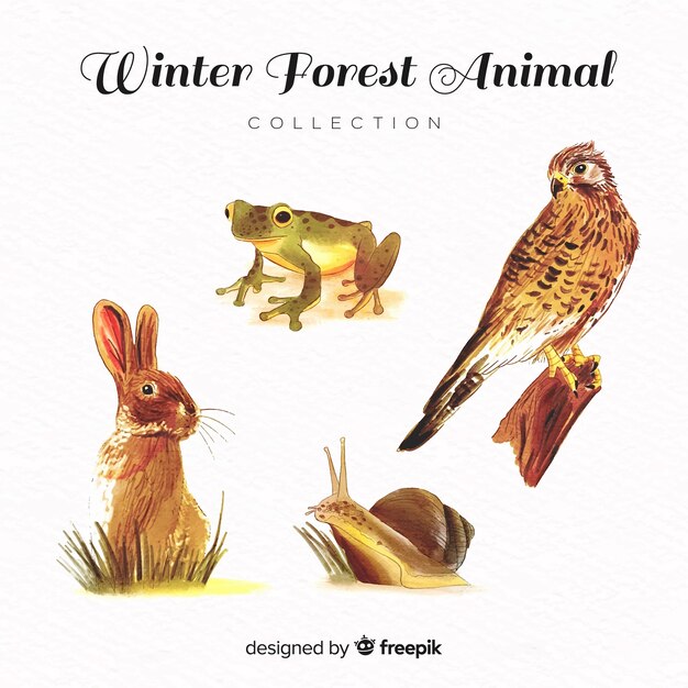 Colección adorable de animales de invierno en acuarela