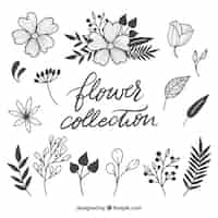 Vector gratuito colección adorable de elementos florales dibujados a mano