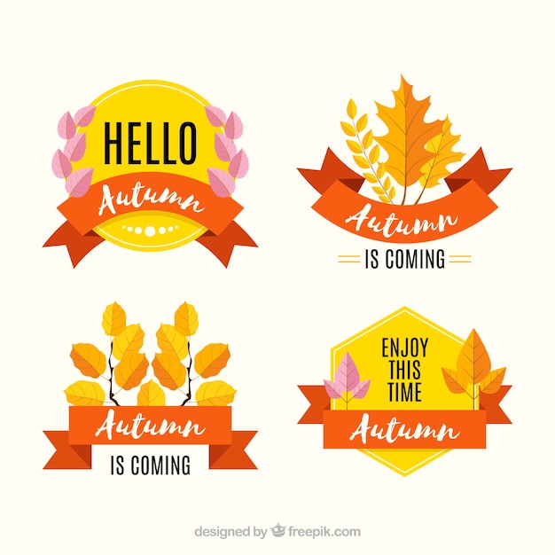 Colección adorable de etiquetas de otoño con diseño plano