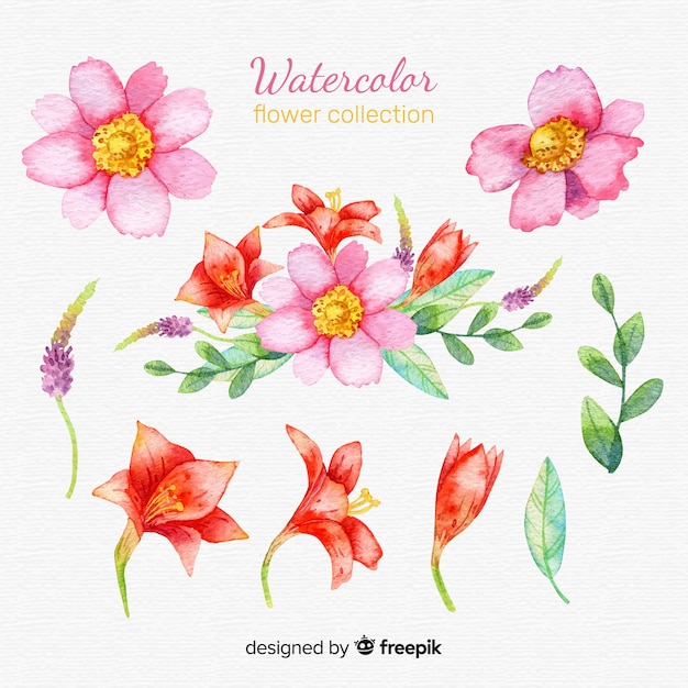 Vector gratuito colección adorable de flores en acuarela