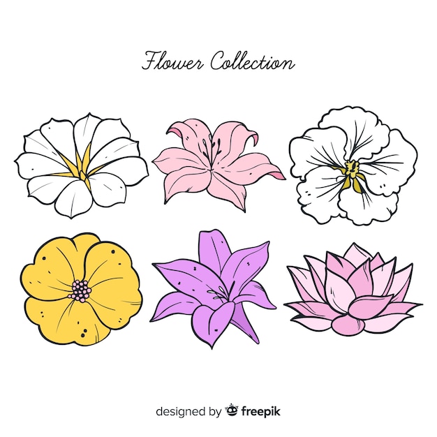 Vector gratuito colección adorable de flores dibujadas a mano