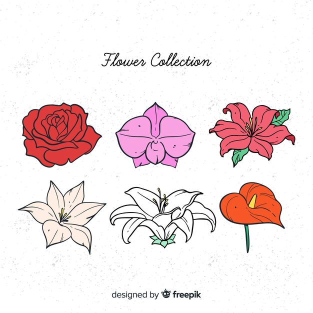 Colección adorable de flores dibujadas a mano