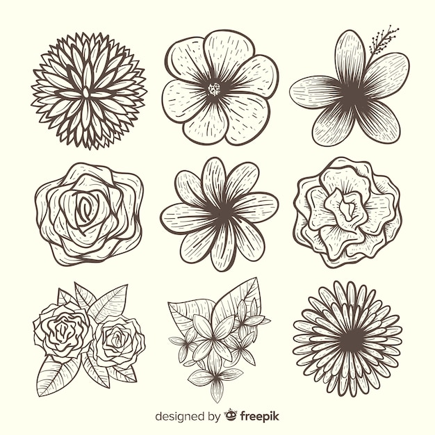 Colección adorable de flores dibujadas a mano