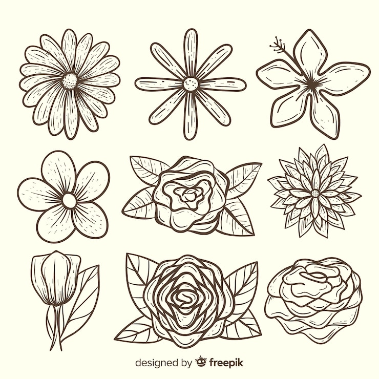 Vector gratuito colección adorable de flores dibujadas a mano