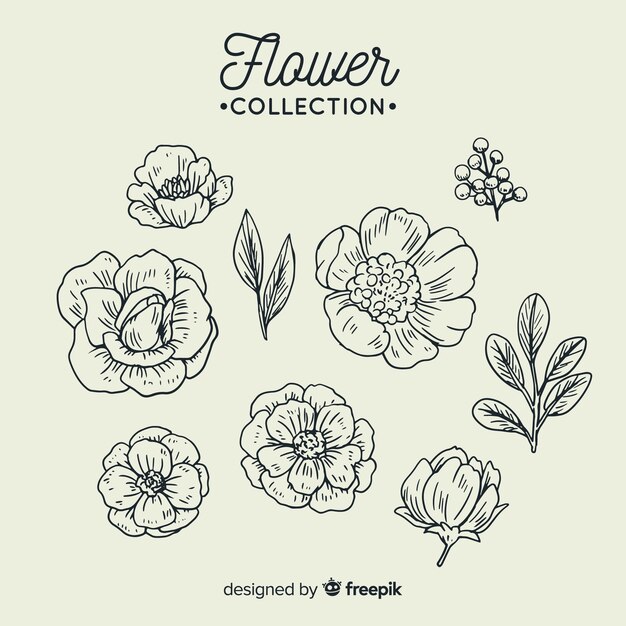 Colección adorable de flores dibujadas a mano