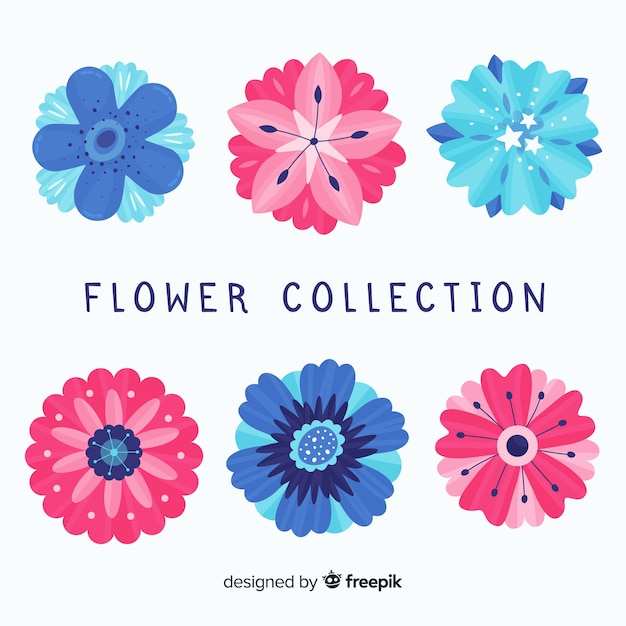 Colección adorable de flores con diseño plano