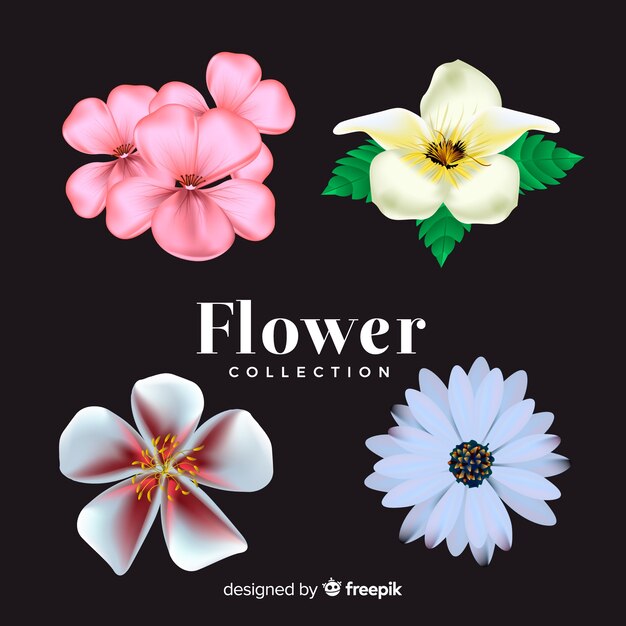 Colección adorable de flores con diseño realista