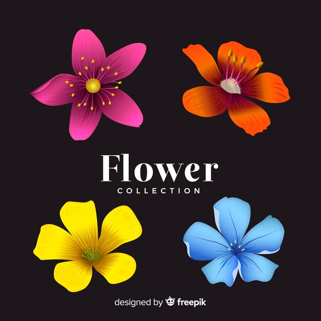 Colección adorable de flores con diseño realista