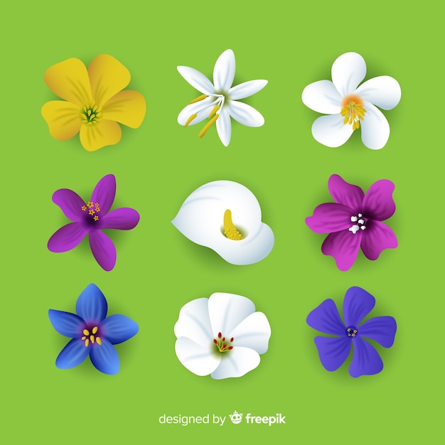 Vector gratuito colección adorable de flores con diseño realista