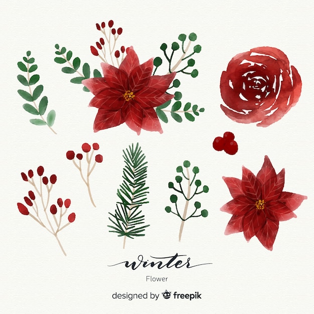 Vector gratuito colección adorable de flores de invierno en acuarela