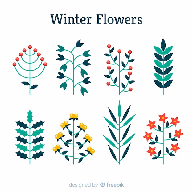 Colección adorable de flores de invierno dibujadas a mano