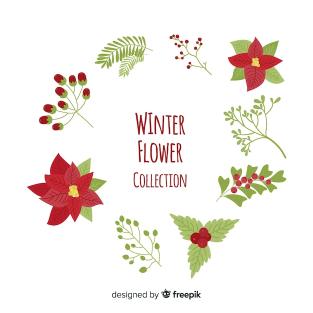 Vector gratuito colección adorable de flores de invierno