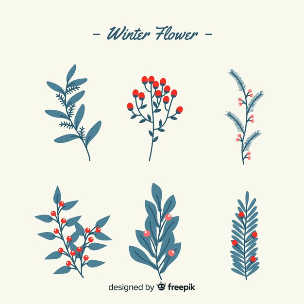Colección adorable de flores de invierno