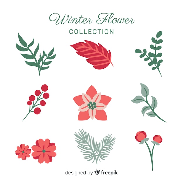 Colección adorable de flores de invierno