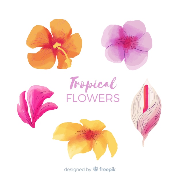 Colección adorable de flores tropicales en acuarela