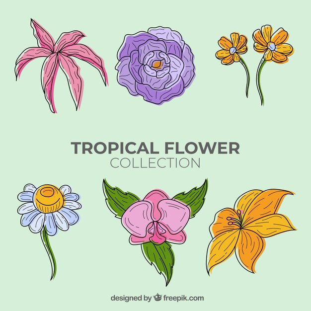 Colección adorable de flores tropicales dibujadas a mano