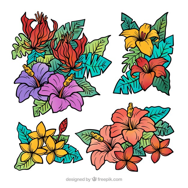 Colección adorable de flores tropicales dibujadas a mano