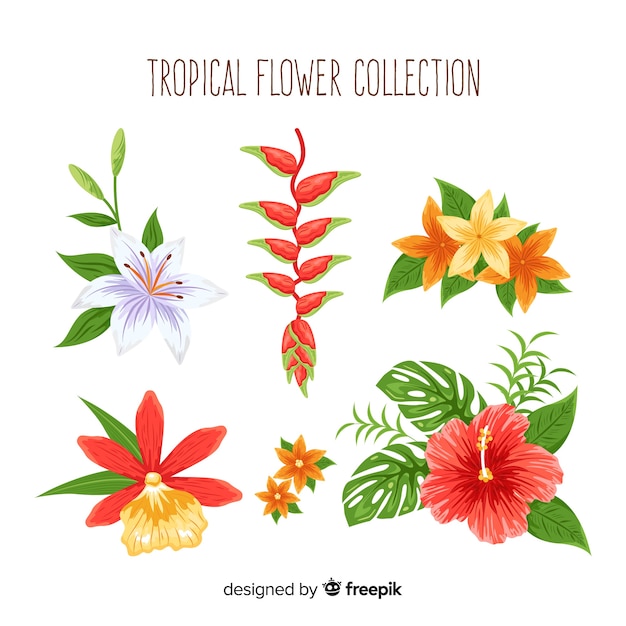 Colección adorable de flores tropicales dibujadas a mano