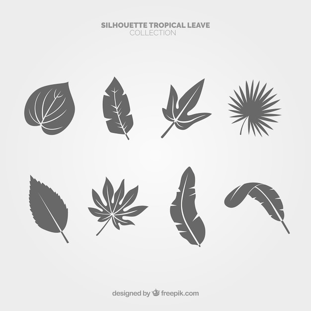 Vector gratuito colección adorable de hojas tropicales con diseño plano