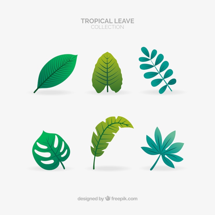 Vector gratuito colección adorable de hojas tropicales con diseño plano