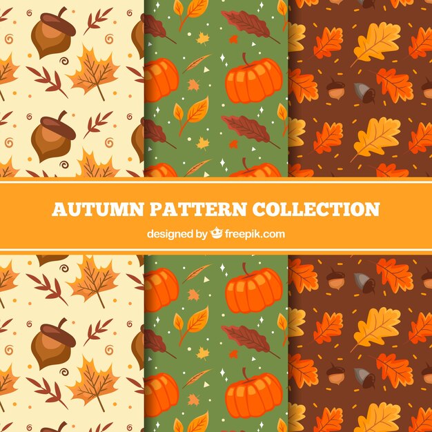 Colección adorable de patrones de otoño dibujados a mano