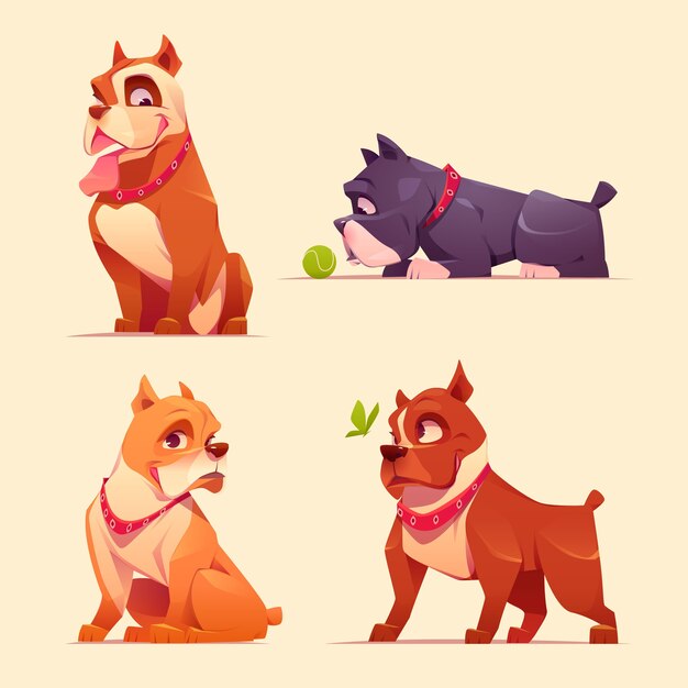 Colección adorable pitbull de dibujos animados