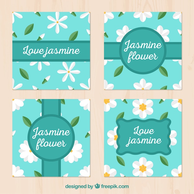 Colección adorable de tarjetas de jazmín