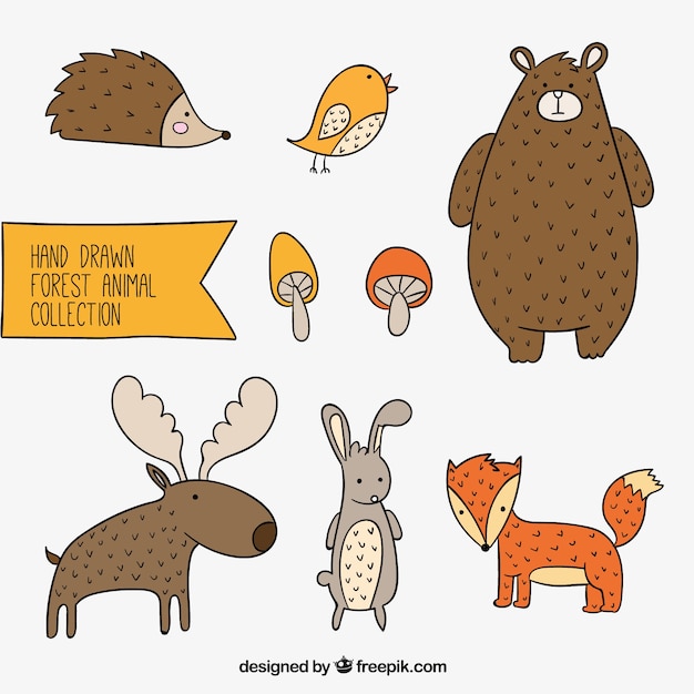Colección de adorables animales dibujados a mano 