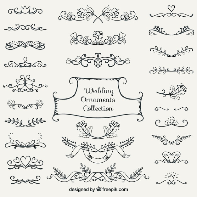 Colección de adornos de boda dibujados a mano