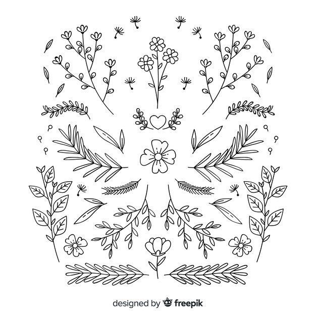 Colección de adornos florales dibujados a mano