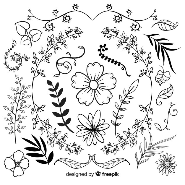 Colección de adornos florales dibujados a mano