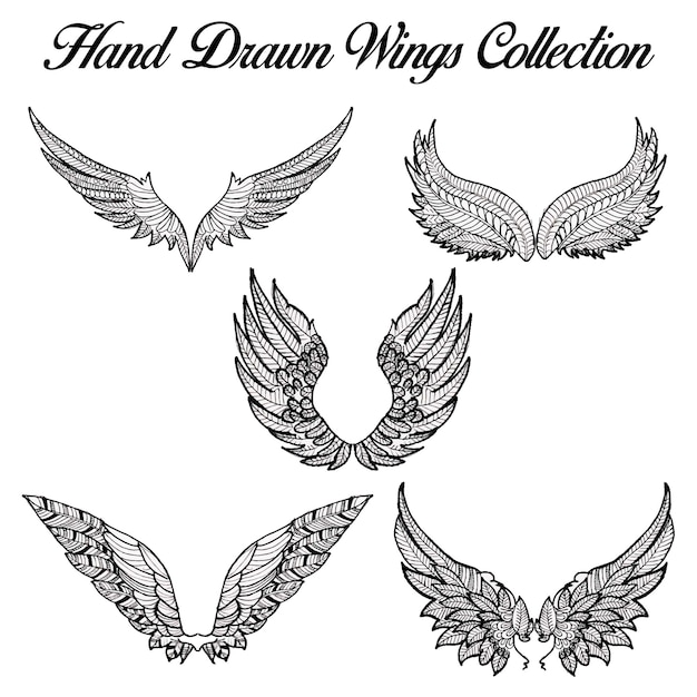 Colección de alas blancas y negras dibujadas a mano