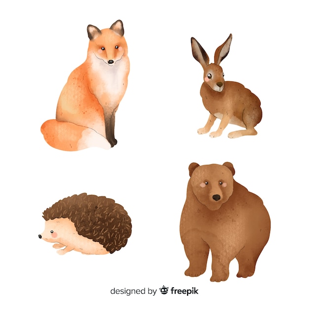 Vector gratuito colección de animales del bosque acuarela