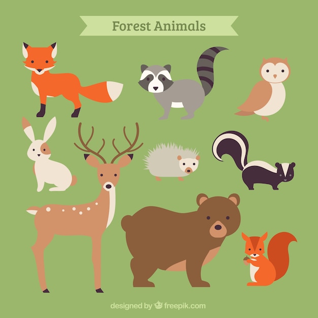 Colección de animales del bosque dibujados a mano