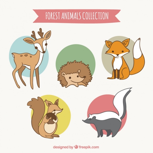 Vector gratuito colección de animales del bosque dibujados a mano